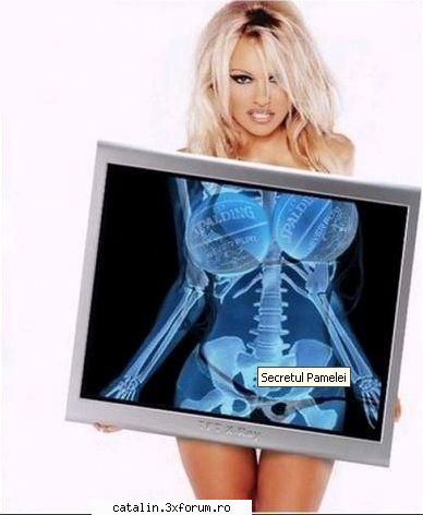Poze - Pamela Anderson - Poze, bancuri si site-uri funny...