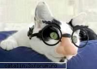 Poze - what? where? who? - Poze, bancuri si site-uri funny...