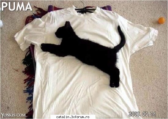 Poze - tricou Puma original - Poze, bancuri si site-uri funny...